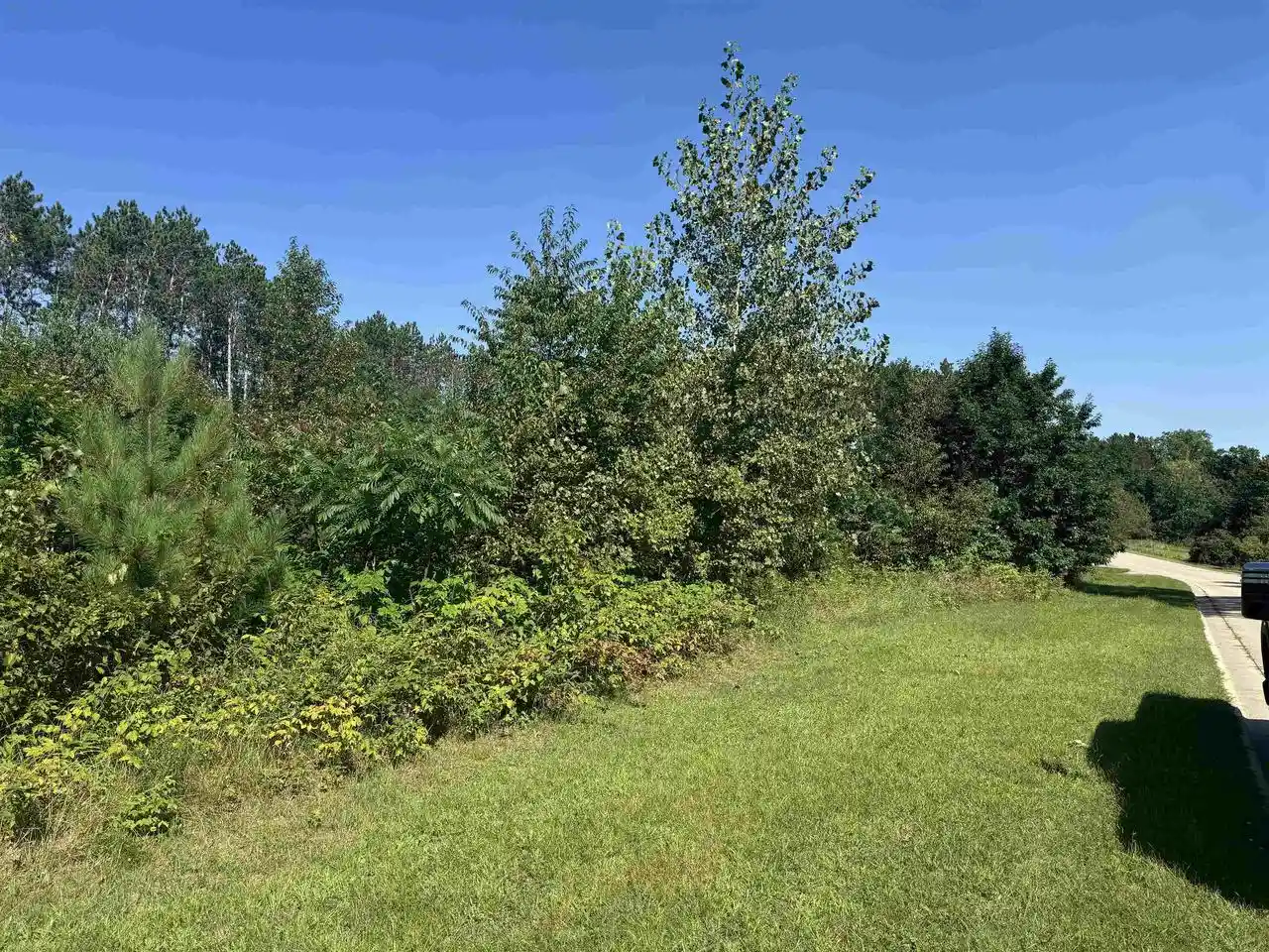 Homes for sale in Gresham, WI | Lake Dr Dr, Gresham, WI 54128 | MLS# 50323034