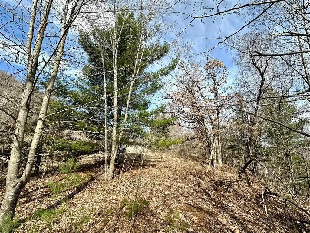 Photo 2 of Land for sale at N4548 County Road N, Arkansaw, WI 54721 | MLS# 1599637 | Listing updated on 2026-07-24