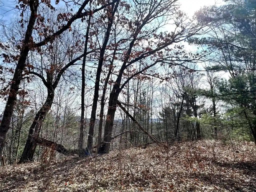 Photo 3 of Land for sale at N4548 County Road N, Arkansaw, WI 54721 | MLS# 1599637 | Listing updated on 2026-07-24