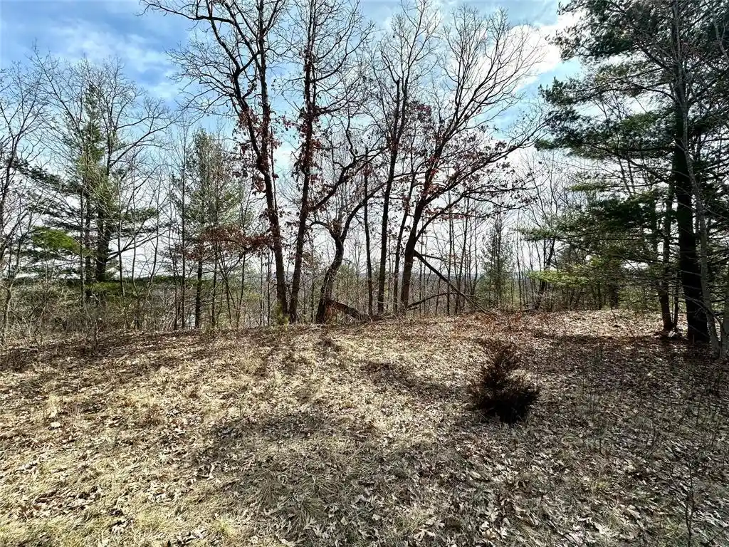 Photo 4 of Land for sale at N4548 County Road N, Arkansaw, WI 54721 | MLS# 1599637 | Listing updated on 2026-07-24