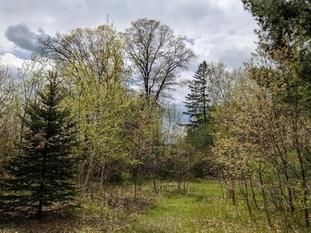 Homes for sale in Chippewa Falls, WI | 7646 196th Street Street, Chippewa Falls, WI 54729 | MLS# 7048056