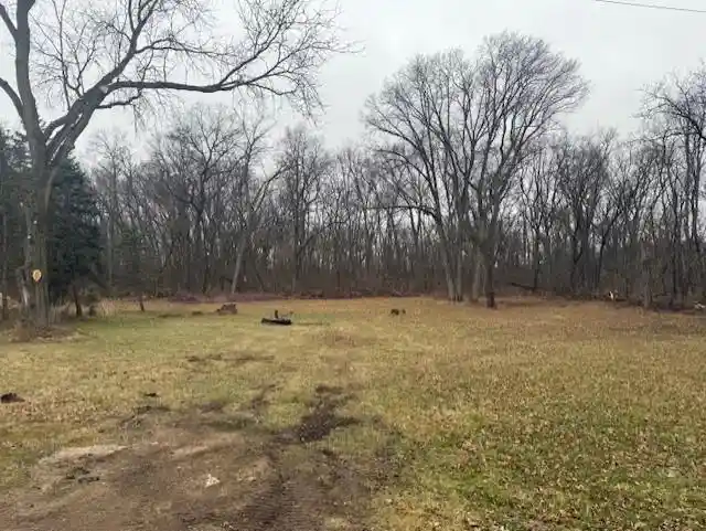 Photo 3 of Land for sale at Lot 1 Twin Lake Road Road, Marshall, WI 53559 | MLS# 2019855 | Listing updated on 2026-05-11