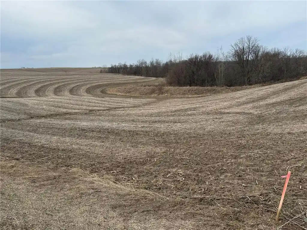 Photo 4 of Land for sale at Tbd County Rd Jj, Stockholm, WI 54769 | MLS# 7048389 | Listing updated on 2026-05-27