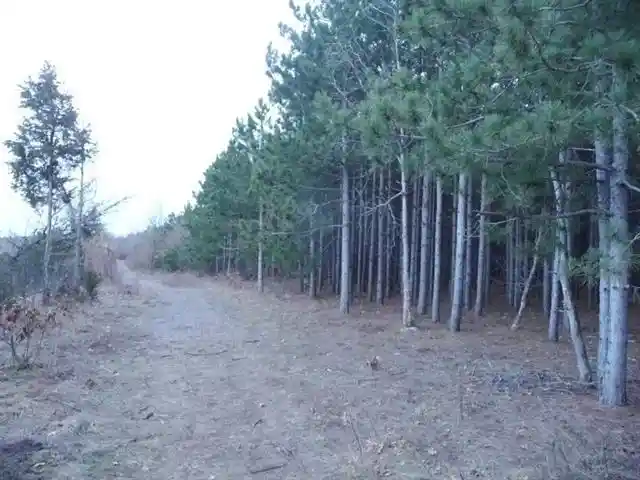 Homes for sale in Nekoosa, WI | Lot 48 Grand View Trail Trail, Nekoosa, WI 54457 | MLS# 2019886