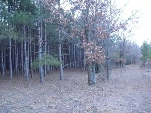 Homes for sale in Nekoosa, WI | Lot 48 Grand View Trail Trail, Nekoosa, WI 54457 | MLS# 2019886