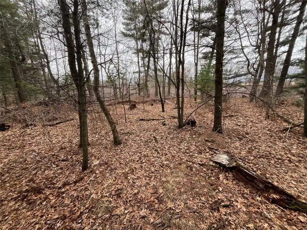 2nd image of Tbd Ten Mile Dr, New Auburn, WI 54757 | MLS# 1599723