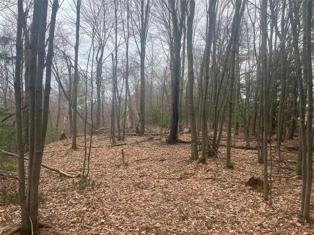 3rd image of Tbd Ten Mile Dr, New Auburn, WI 54757 | MLS# 1599723