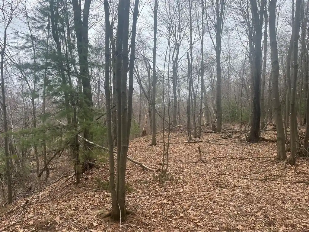 4th image of Tbd Ten Mile Dr, New Auburn, WI 54757 | MLS# 1599723