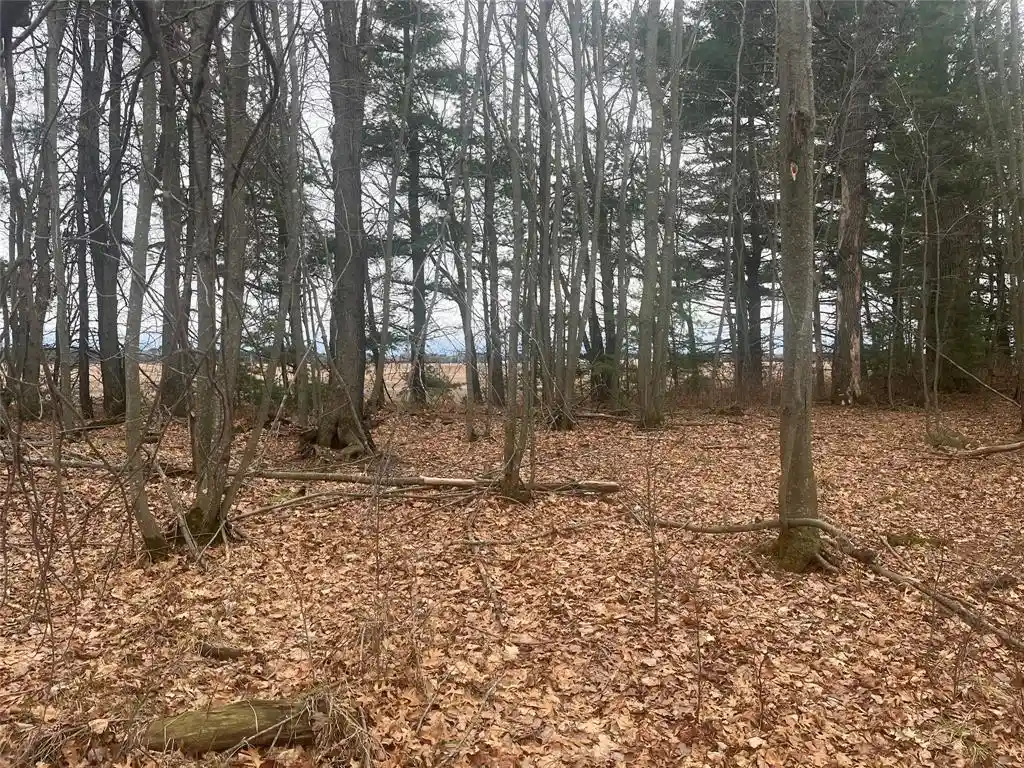 5th image of Tbd Ten Mile Dr, New Auburn, WI 54757 | MLS# 1599723