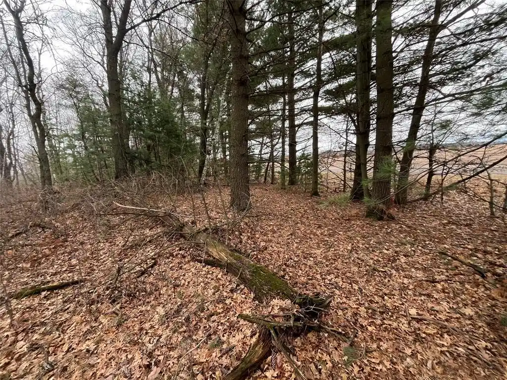 17th image of Tbd Ten Mile Dr, New Auburn, WI 54757 | MLS# 1599723