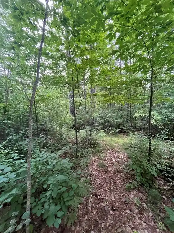 Photo 3 of Land for sale at 16876 Southview Trail Trail, Stone Lake, WI 54876 | MLS# 1599724 | Listing updated on 2026-06-15