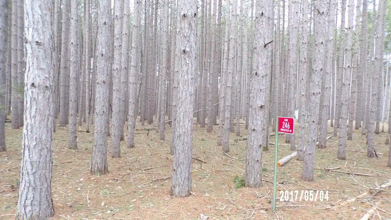 Photo 3 of Land for sale at 246 Winchester Road Road, Nekoosa, WI 54457 | MLS# 2019989 | Listing updated on 2026-04-29