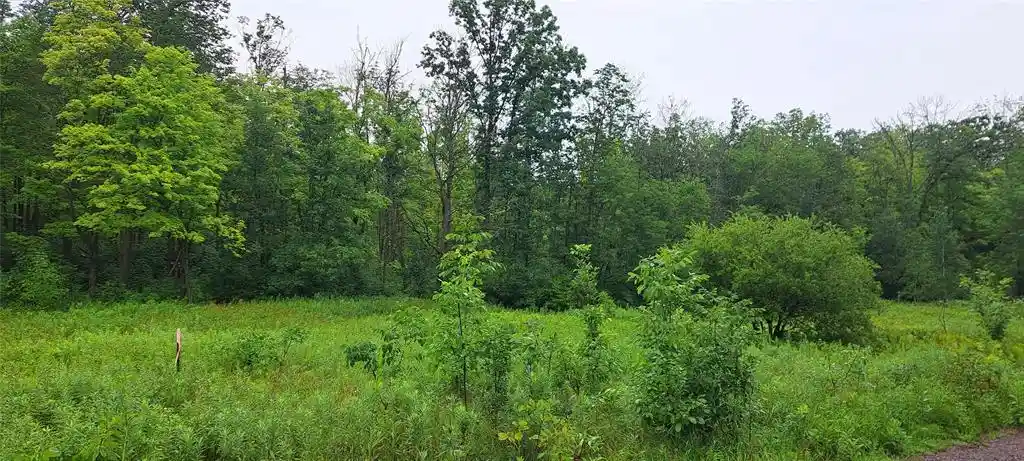 Photo 2 of Land for sale at Lot 4 Musky Point Dr Dr, Stone Lake, WI 54876 | MLS# 1599768 | Listing updated on 2026-05-08