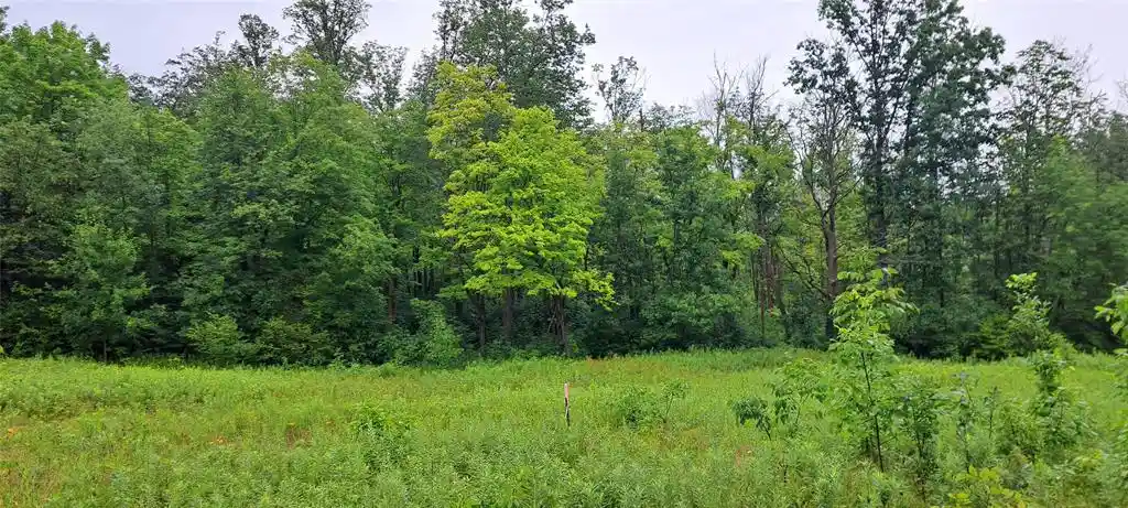 Photo 1 of Land for sale at Lot 3 Musky Point Dr Dr, Stone Lake, WI 54876 | MLS# 1599764 | Listing updated on 2026-05-08
