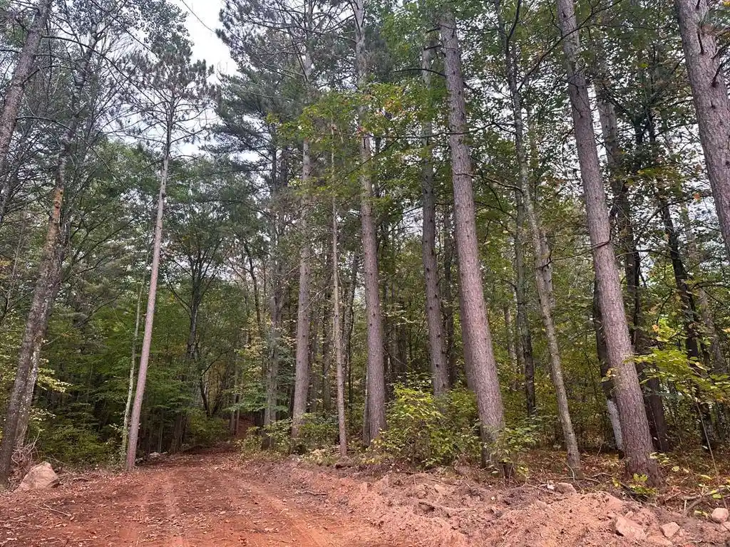 1st image of 0 Sabin Road Road, Hayward, WI 54843 | MLS# 1599776