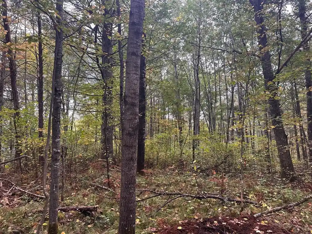 Photo 3 of Land for sale at 0 Sabin Road Road, Hayward, WI 54843 | MLS# 1599776 | Listing updated on 2026-04-29
