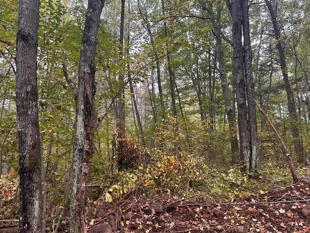 4th image of 0 Sabin Road Road, Hayward, WI 54843 | MLS# 1599776