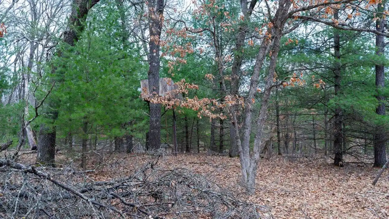 2nd image of Lot 3 +/  87 Ac Dover Dr Dr, Adams, WI 53910 | MLS# 2020061