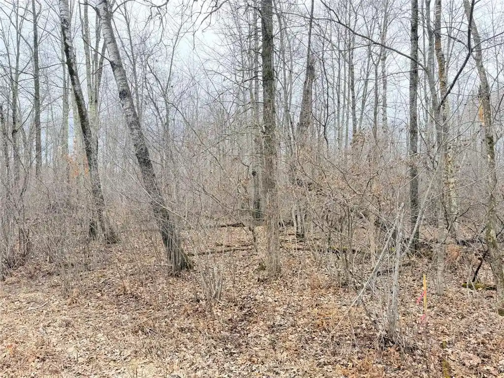 1st image of Lot 20 28 7/8 Avenue Avenue, Birchwood, WI 54817 | MLS# 1599751