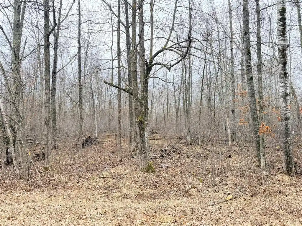2nd image of Lot 20 28 7/8 Avenue Avenue, Birchwood, WI 54817 | MLS# 1599751