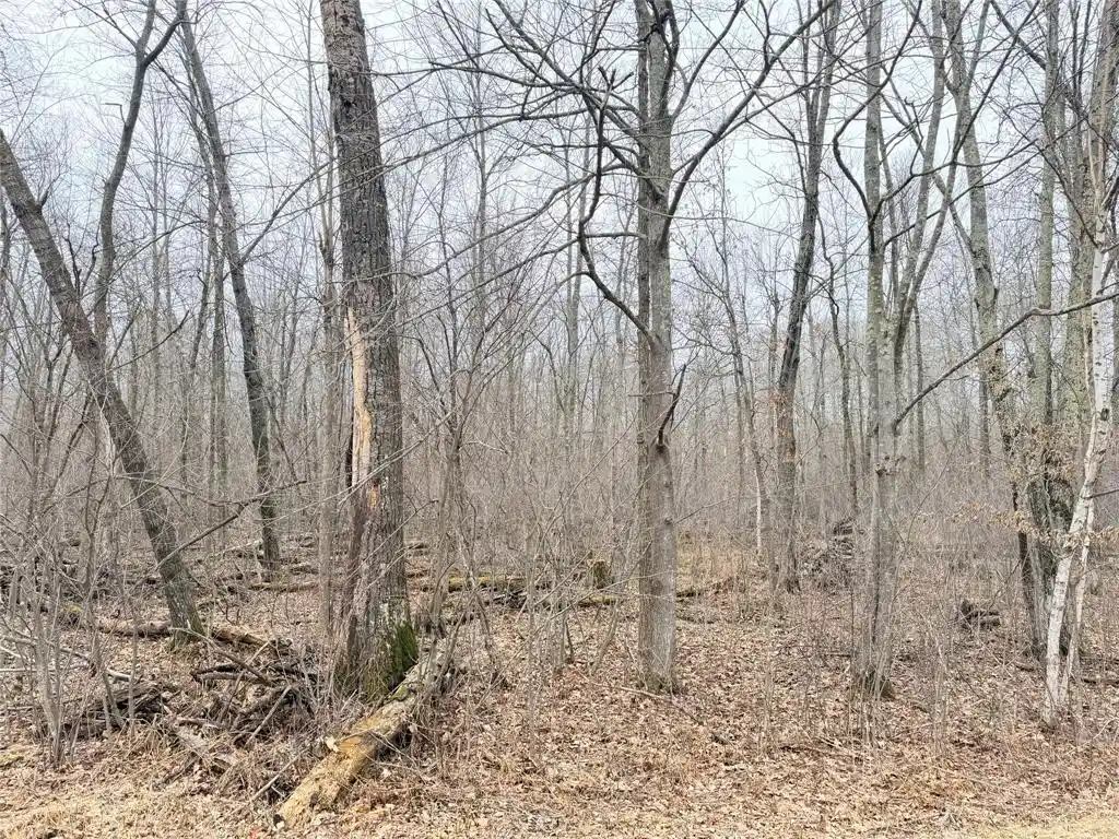 3rd image of Lot 20 28 7/8 Avenue Avenue, Birchwood, WI 54817 | MLS# 1599751