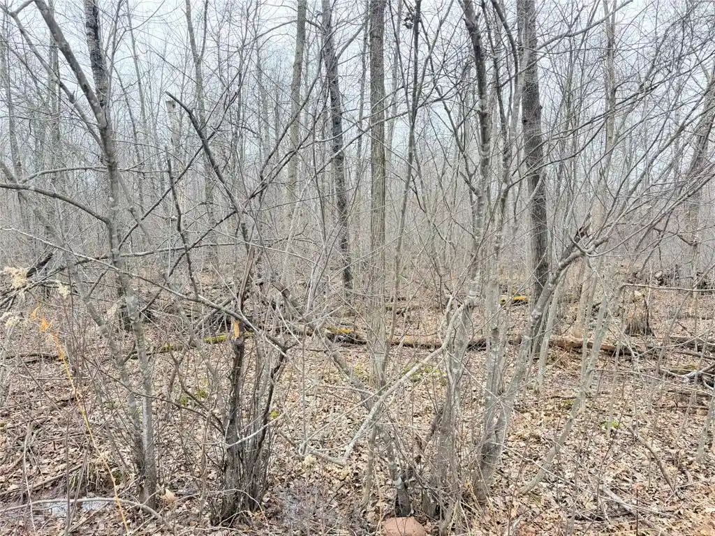 4th image of Lot 20 28 7/8 Avenue Avenue, Birchwood, WI 54817 | MLS# 1599751
