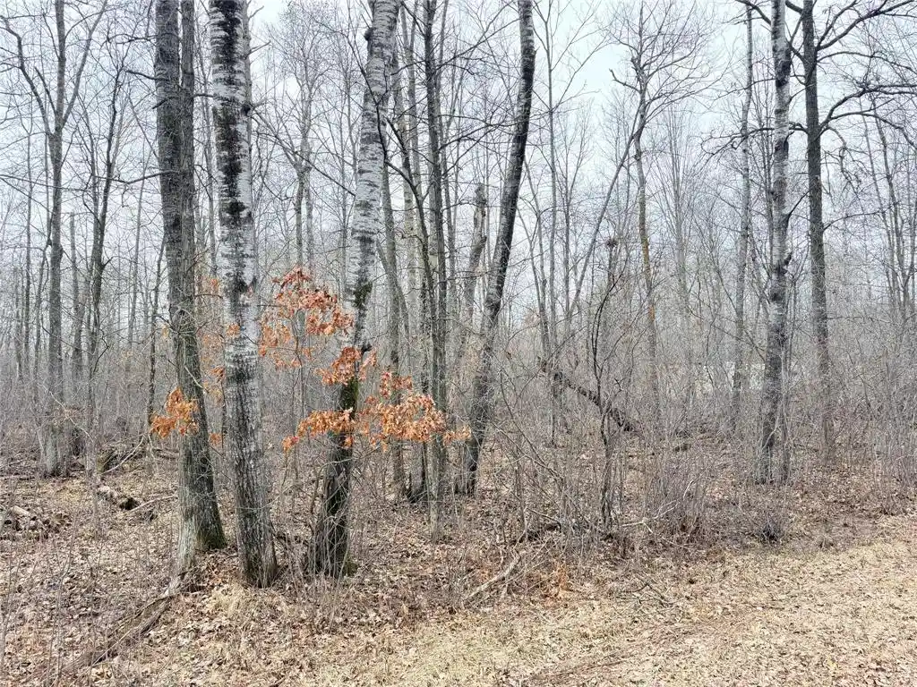9th image of Lot 20 28 7/8 Avenue Avenue, Birchwood, WI 54817 | MLS# 1599751