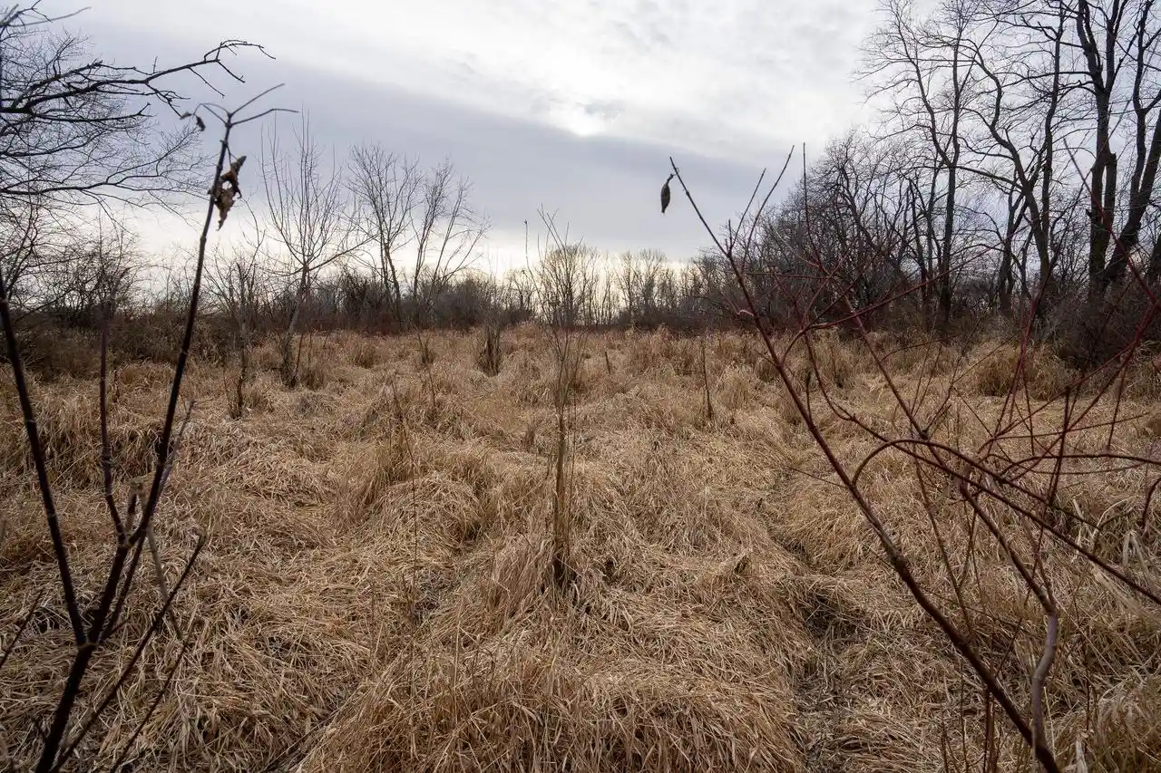 Photo 3 of Land for sale at +/  200ac Old Stone Road Road, Stoughton, WI 53521 | MLS# 2020133 | Listing updated on 2026-05-11
