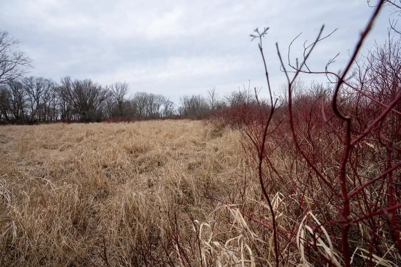Photo 3 of Land for sale at +/- 200Ac Old Stone Road Road, Stoughton, WI 53521 | MLS# 2020133 | Listing updated on 2026-05-11