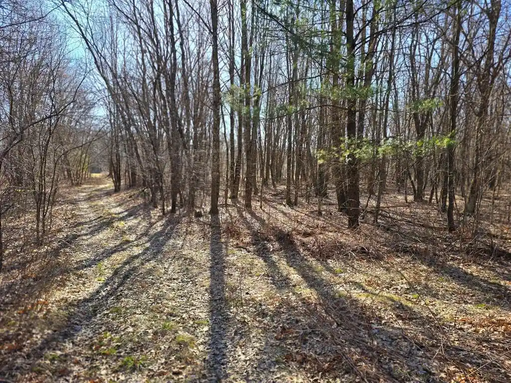 Photo 2 of Land for sale at Lot 2 Buck Rub Road, Eau Claire, WI 54703 | MLS# 1599793 | Listing updated on 2026-06-23