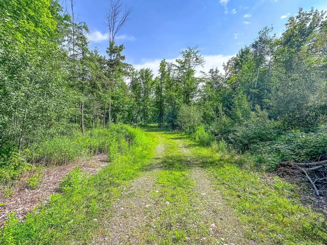 Homes for sale in Park Falls, WI | 9389A On Kundinger Road Road, Park Falls, WI 54552 | MLS# 22601354