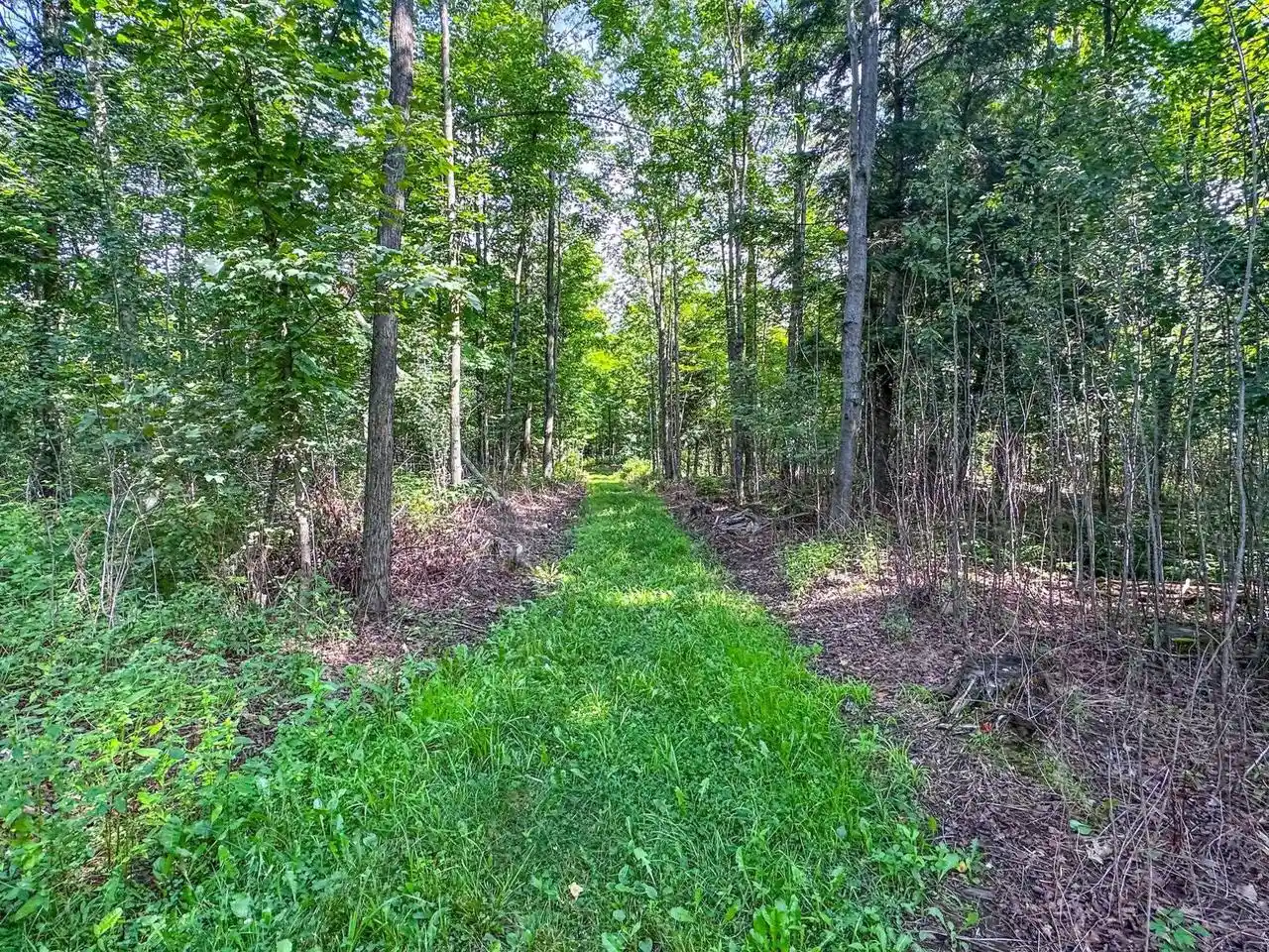 Homes for sale in Park Falls, WI | 9389A On Kundinger Road Road, Park Falls, WI 54552 | MLS# 22601354