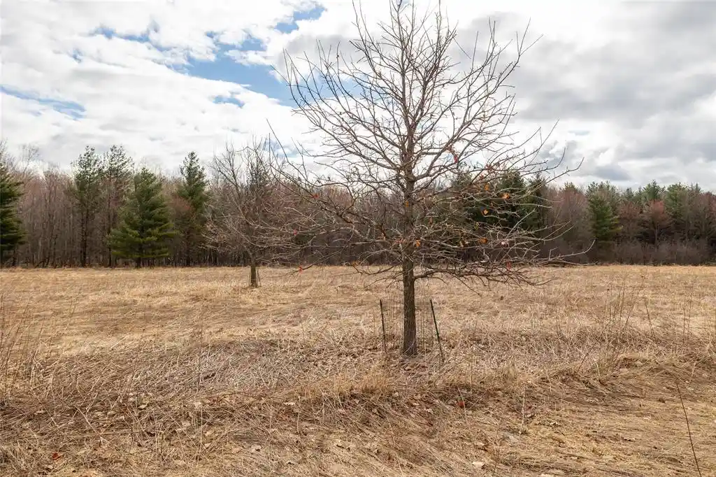 Photo 3 of Single family home for sale at 2742 Pray Avenue Avenue, Neillsville, WI 54456 | MLS# 1599865 | Listing updated on 2026-10-09