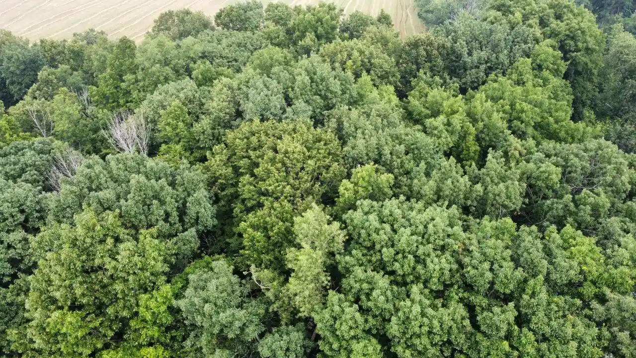3rd image of Lt3 Rock River Paradise, Watertown, WI 53094 | MLS# 1957024