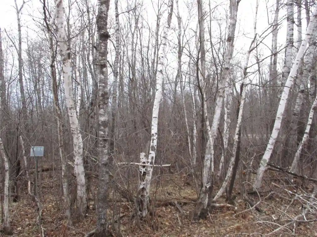 2nd image of Lot #24 28 11/16 Street Street, Birchwood, WI 54817 | MLS# 1599869