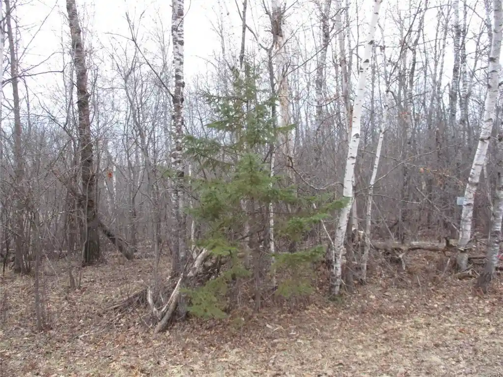 3rd image of Lot #24 28 11/16 Street Street, Birchwood, WI 54817 | MLS# 1599869