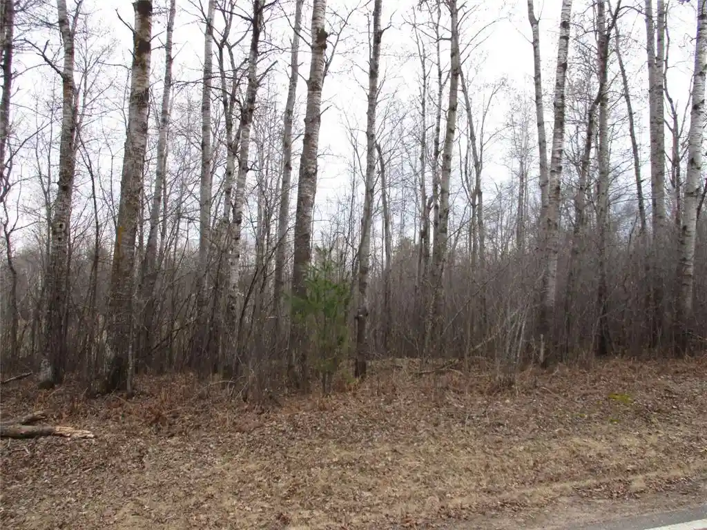 4th image of Lot #24 28 11/16 Street Street, Birchwood, WI 54817 | MLS# 1599869
