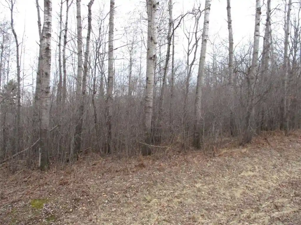 5th image of Lot #24 28 11/16 Street Street, Birchwood, WI 54817 | MLS# 1599869