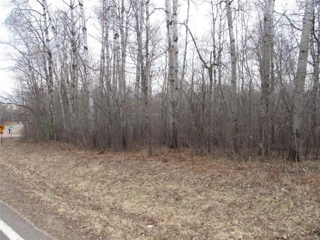 6th image of Lot #24 28 11/16 Street Street, Birchwood, WI 54817 | MLS# 1599869