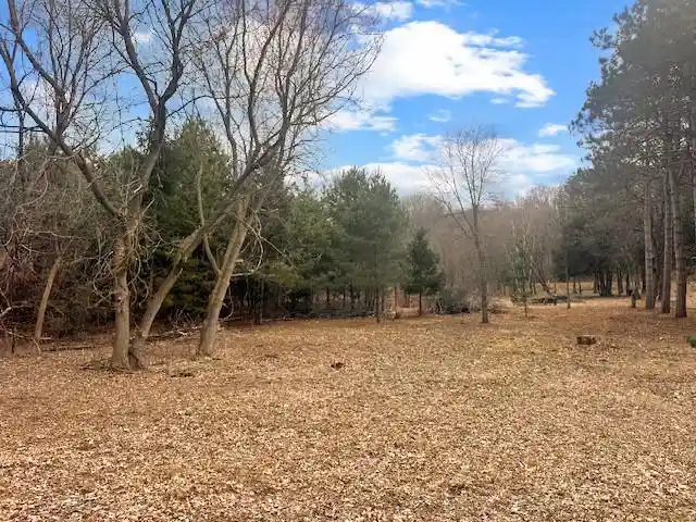 Photo 2 of Land for sale at 8xx 207th Street Street, Dresser, WI 54009 | MLS# 1599934 | Listing updated on 2026-08-10