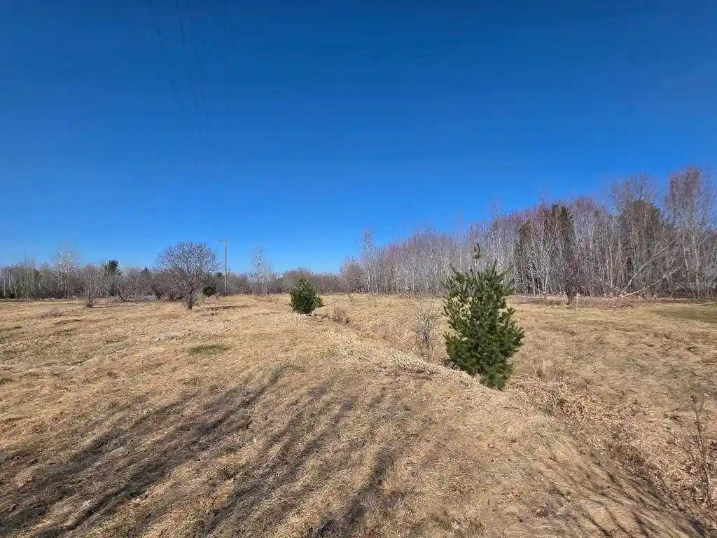 1st image of 00 Ashland Ave W, Almena, WI 54805 | MLS# 1599919