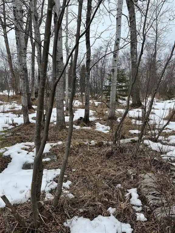 3rd image of 10427 E Devries Road Road, Poplar, WI 54864 | MLS# 1599941
