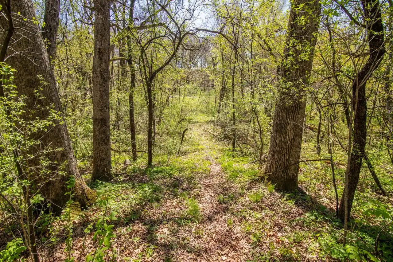 30th image of 5041 Creek Haven Road Road, Cottage Grove, WI 53527 | MLS# 1957375