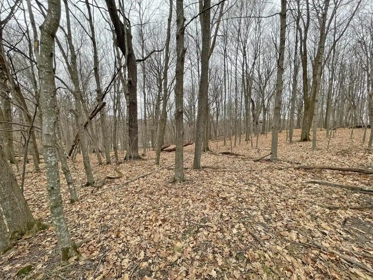Homes for sale in La Valle, WI | L150 Black Forest Pine Cone Lane Lane, La Valle, WI 53941 | MLS# 2020491