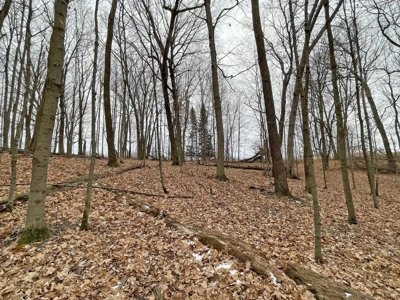 Homes for sale in La Valle, WI | L150 Black Forest Pine Cone Lane Lane, La Valle, WI 53941 | MLS# 2020491