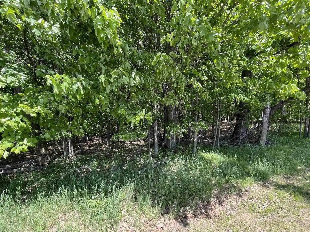 Homes for sale in La Valle, WI | L150 Black Forest Pine Cone Lane Lane, La Valle, WI 53941 | MLS# 2020491