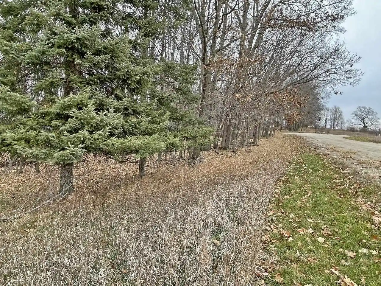 Homes for sale in La Valle, WI | L150 Black Forest Pine Cone Lane Lane, La Valle, WI 53941 | MLS# 2020491