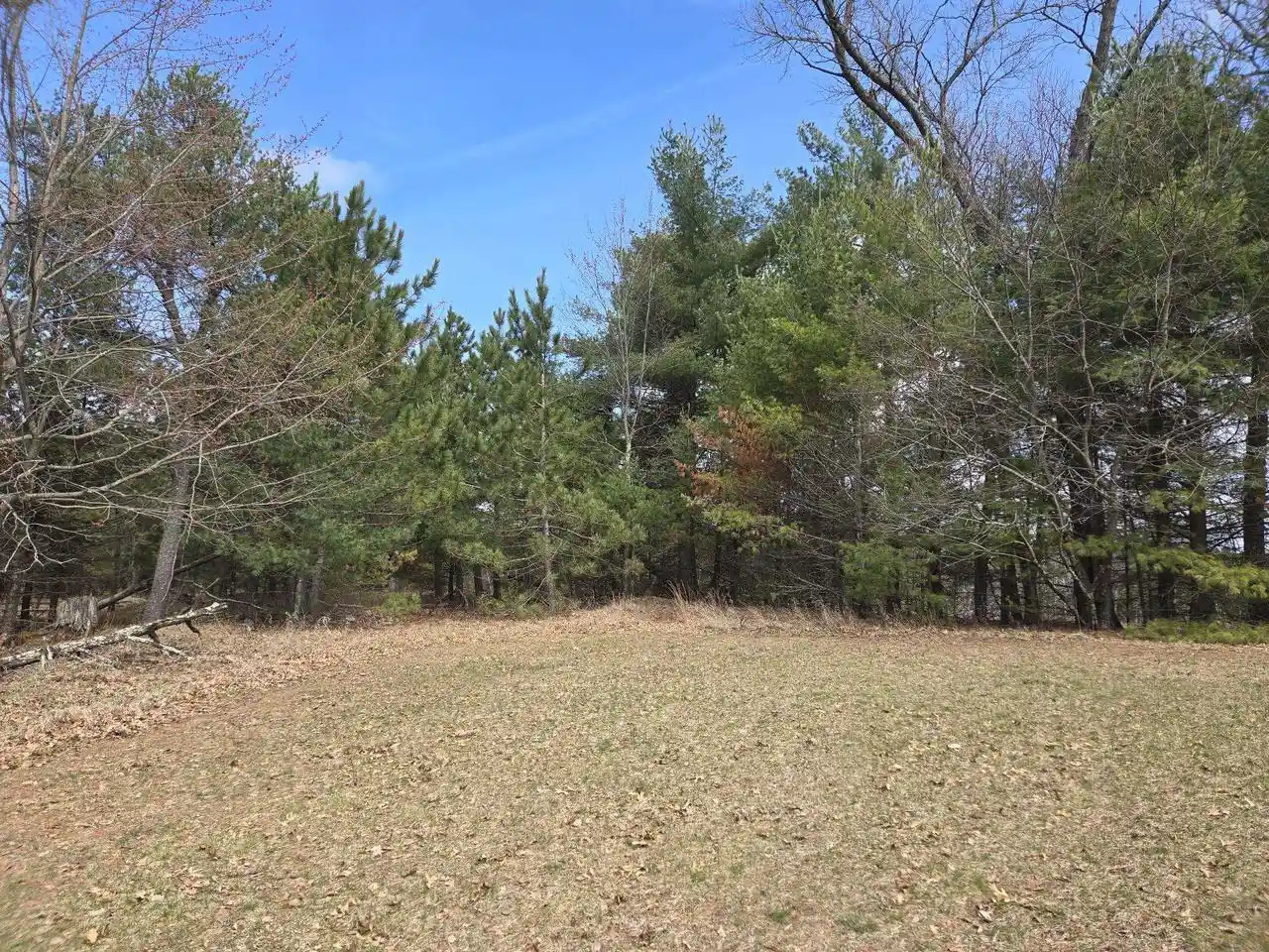 Homes for sale in Arkdale, WI | 1269 17th Avenue Avenue, Arkdale, WI 54613 | MLS# 2020496