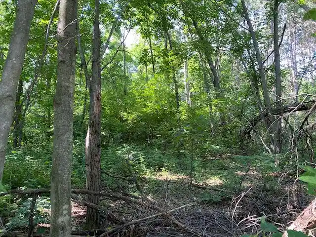 Homes for sale in Mauston, WI | Lot 18 Oak Hill Estates, Mauston, WI 53948 | MLS# 2020501