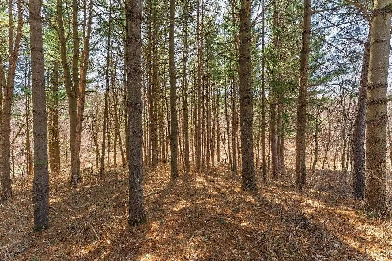 Homes for sale in La Valle, WI | Lot 63 Staghorn Court Court, La Valle, WI 53941 | MLS# 2020537